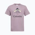 Трекінгові футболки Columbia