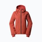 Лижні куртки The North Face