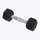 Гантель прогумована XTREXO Hex HXD25 2.5 кг