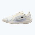 Кросівки для бігу чоловічі Nike Pegasus 41 GTX sail/football grey/sundial/ashen slate 9