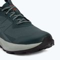 Кросівки туристичні чоловічі Salomon Elixir Activ GTX scarab/green gable 7