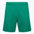 Дитячі футбольні шорти Capelli Sport Cs One Adult Match зелені/білі
