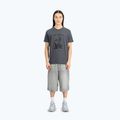 Футболка чоловіча Alpha Industries Hawaii vintage grey 2