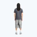Футболка чоловіча Alpha Industries Hawaii vintage grey 3