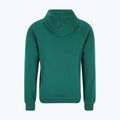 Чоловічий світшот FILA Lutheran Hoody з авантюрином 5