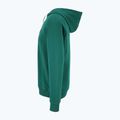 Чоловічий світшот FILA Lutheran Hoody з авантюрином 6