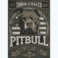 Кофта чоловіча Pitbull Troublemaker Hooded Sweatshirt old green 9