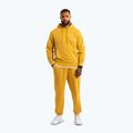Штани чоловічі Pitbull Lancaster 2 Track Pants washed yellow 2
