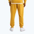 Штани чоловічі Pitbull Lancaster 2 Track Pants washed yellow 3