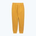 Штани чоловічі Pitbull Lancaster 2 Track Pants washed yellow 7