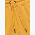 Штани чоловічі Pitbull Lancaster 2 Track Pants washed yellow 8