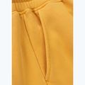 Штани чоловічі Pitbull Lancaster 2 Track Pants washed yellow 10
