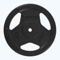 Диск чавунний XTREXO TRX-ICP025 25 кг chrom 3