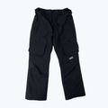 Штани сноубордичні чоловічі Colourwear Flight black 8
