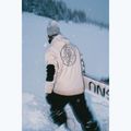 Штани сноубордичні чоловічі Colourwear Flight black 12