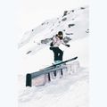 Штани сноубордичні чоловічі Colourwear Flight black 13