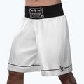 Шорти для тренувань Hayabusa Pro Boxing white