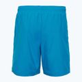 Шорти для плавання чоловічі Oakley Clear Lake 18" Volley swimming blue 2
