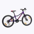 Велосипед дитячий Kellys Lumi 30 20" фіолетовий 72390 3