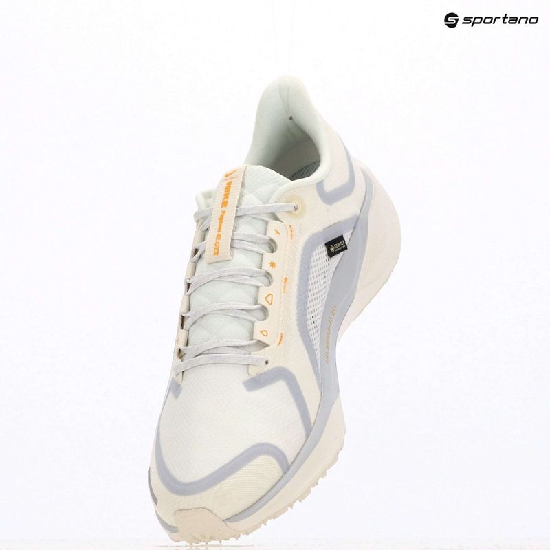 Кросівки для бігу чоловічі Nike Pegasus 41 GTX sail/football grey/sundial/ashen slate 13