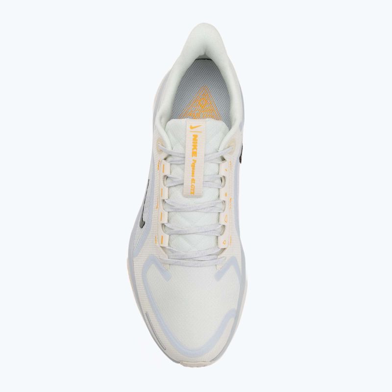 Кросівки для бігу чоловічі Nike Pegasus 41 GTX sail/football grey/sundial/ashen slate 5