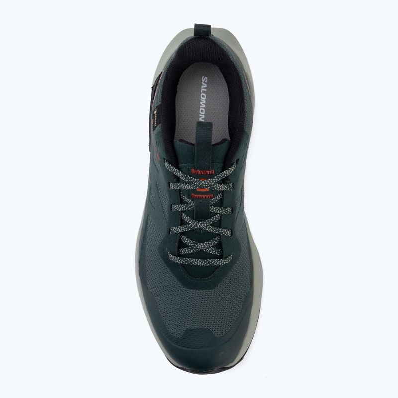 Кросівки туристичні чоловічі Salomon Elixir Activ GTX scarab/green gable 5