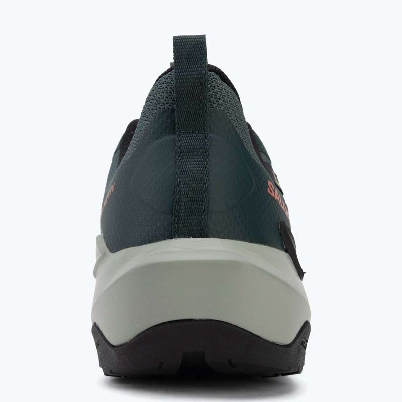 Кросівки туристичні чоловічі Salomon Elixir Activ GTX scarab/green gable 6