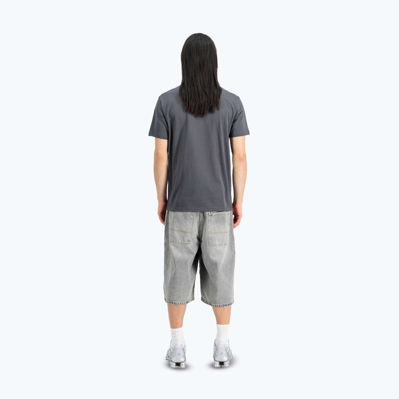 Футболка чоловіча Alpha Industries Hawaii vintage grey 3