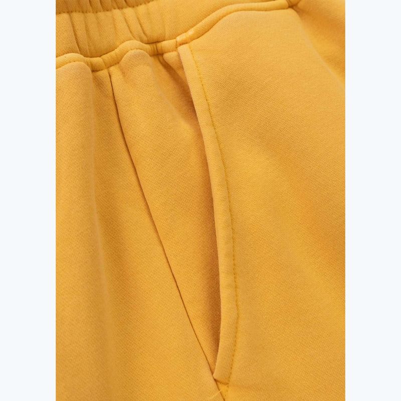 Штани чоловічі Pitbull Lancaster 2 Track Pants washed yellow 10