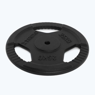 Диск чавунний XTREXO TRX-ICP025 25 кг chrom